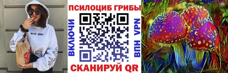 Галлюциногенные грибы Psilocybe  гидра зеркало  Нарткала  закладки 